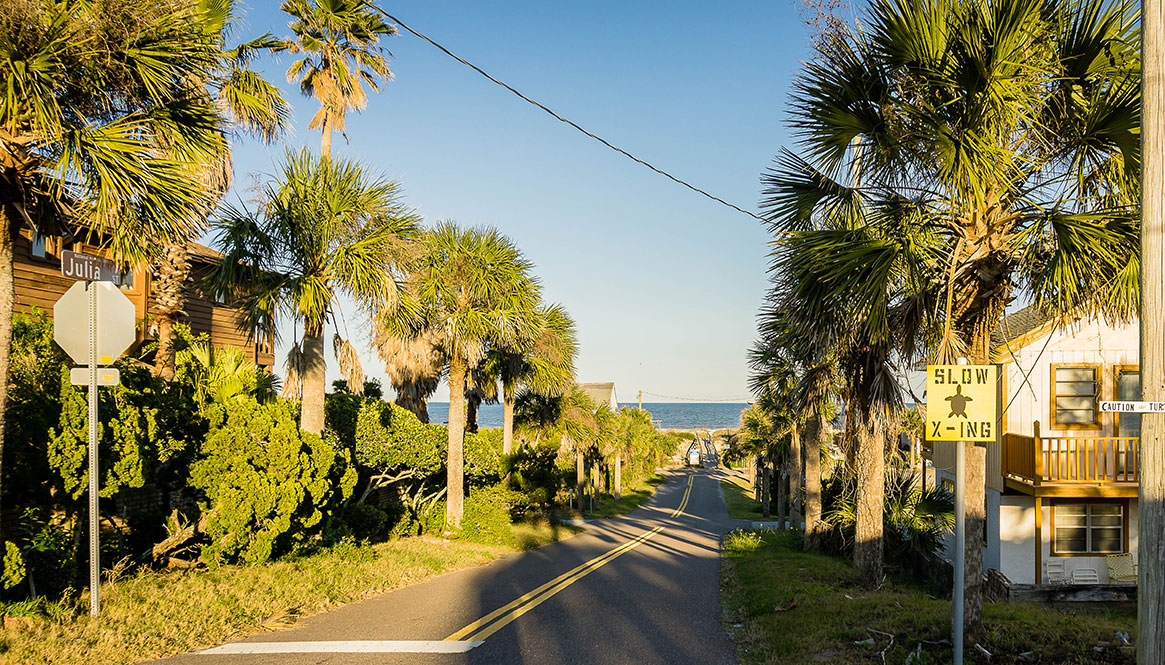 Atlantic Ocean - Amelia Island.