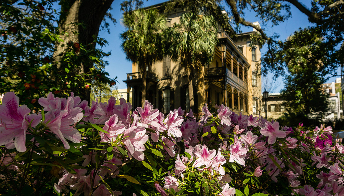 Historic square Savannah