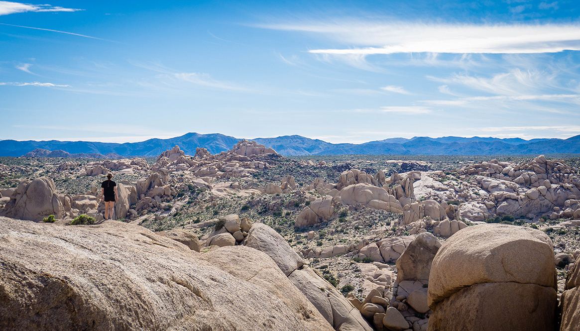 Boulders, Joshua Tree Park, California