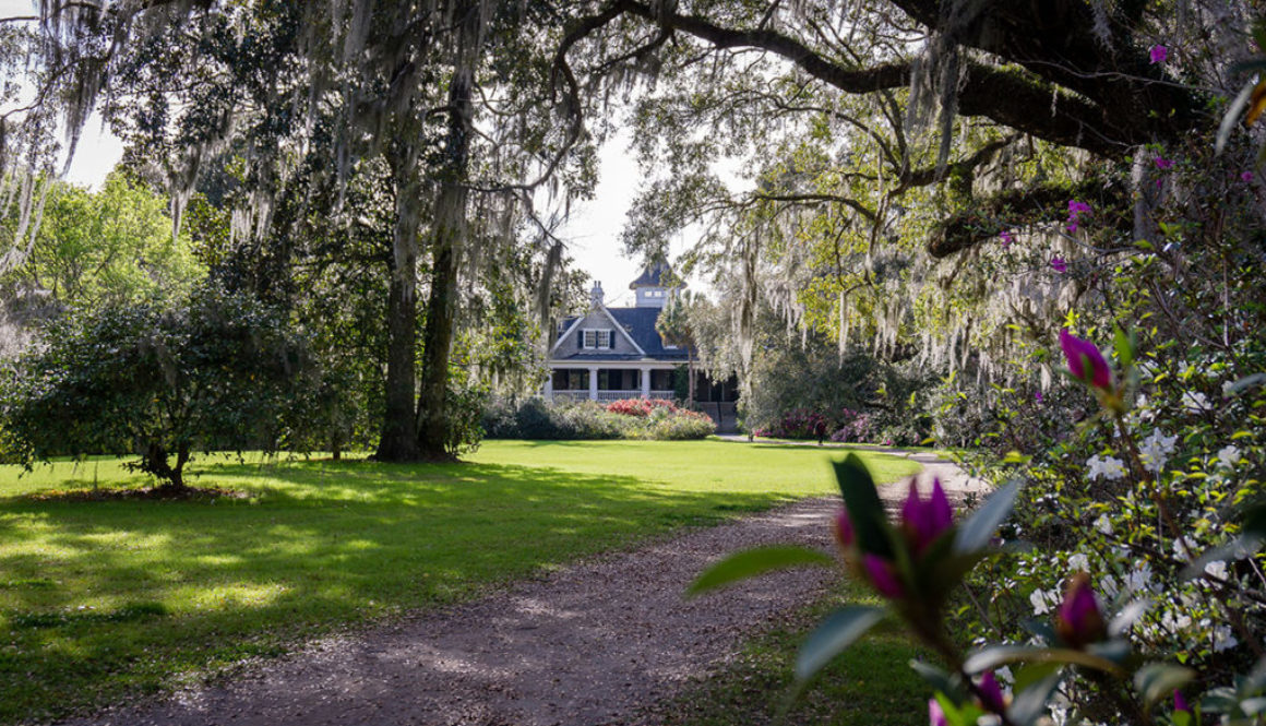 Azalea Farm