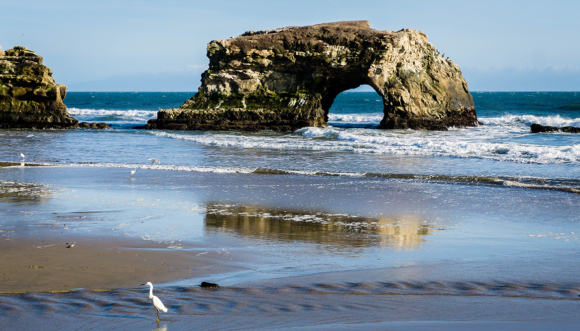 Natural Bridges, Santa Cruz