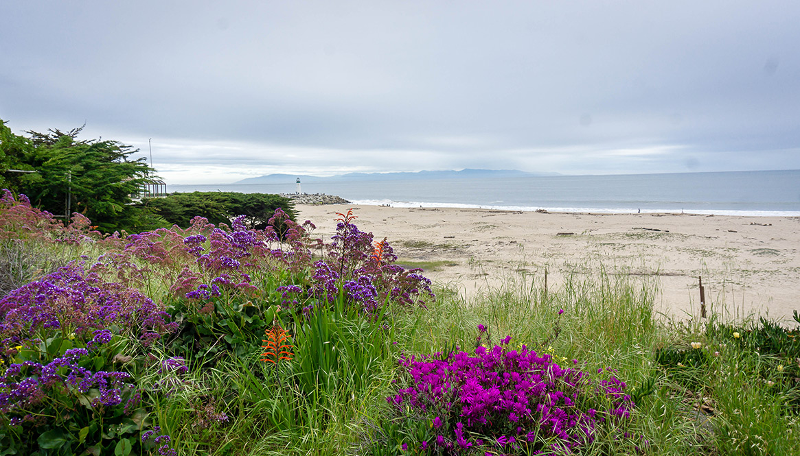 Santa Cruz, California