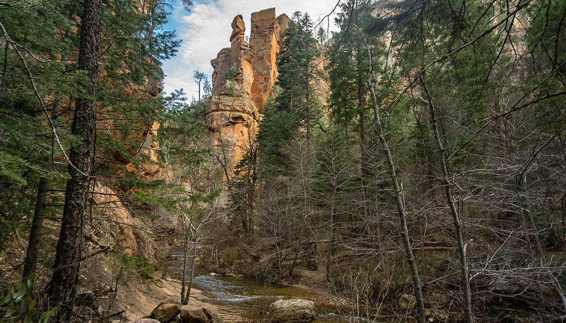 West Fork, Arizona