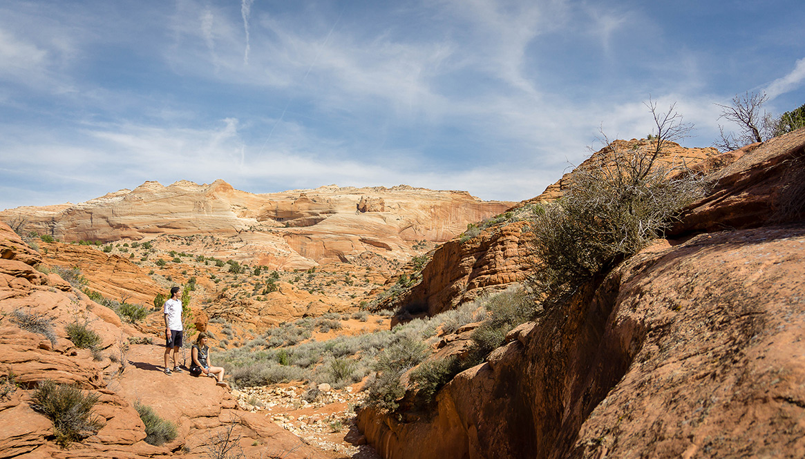 The Wire, Utah