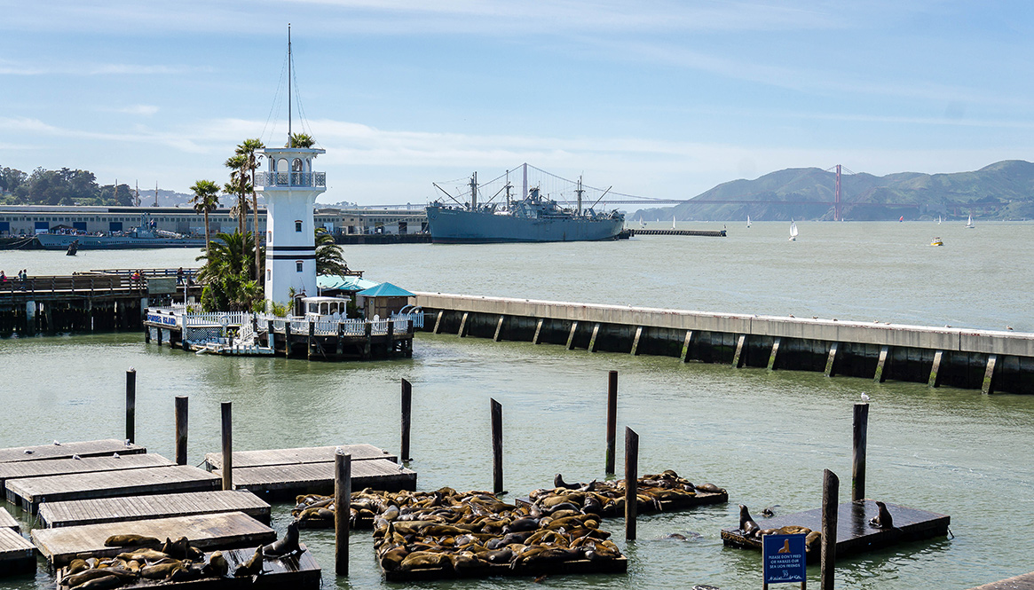 Pier 39, San Francisco