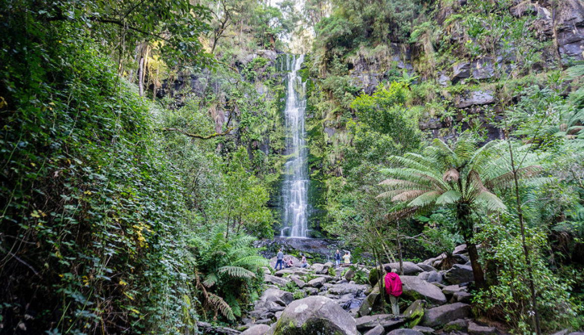 Erskine Falls, Lorne