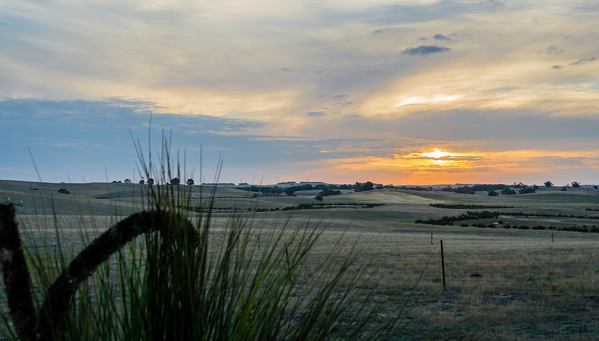 Valley, Coorong