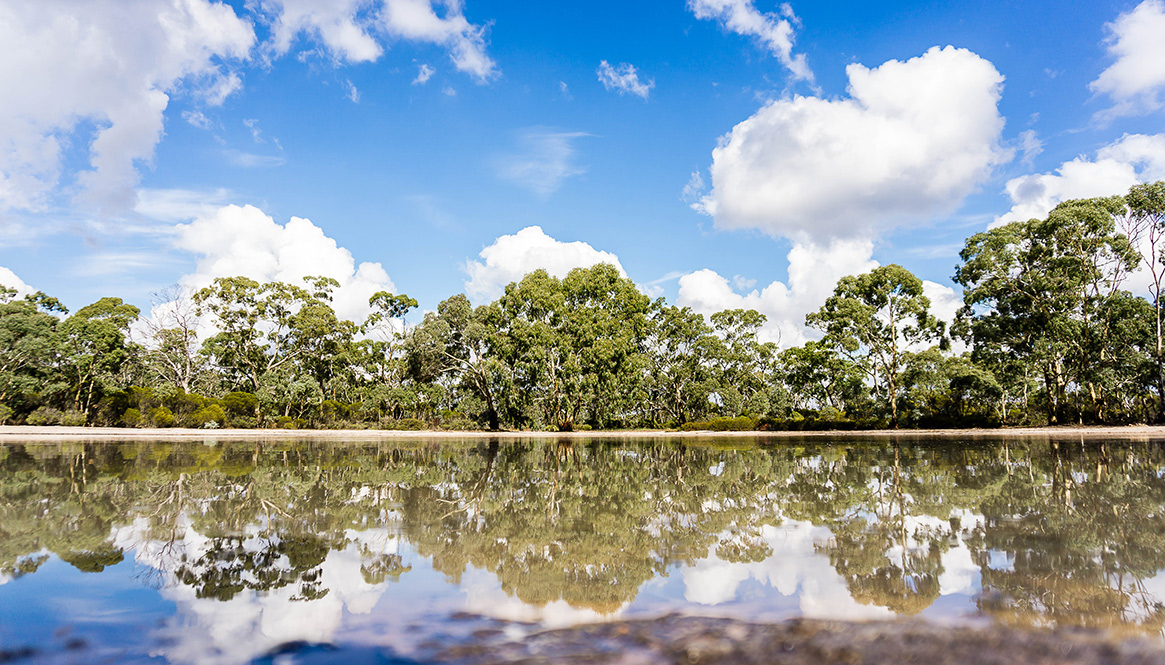 Broughton's Waterhole, Little Desert