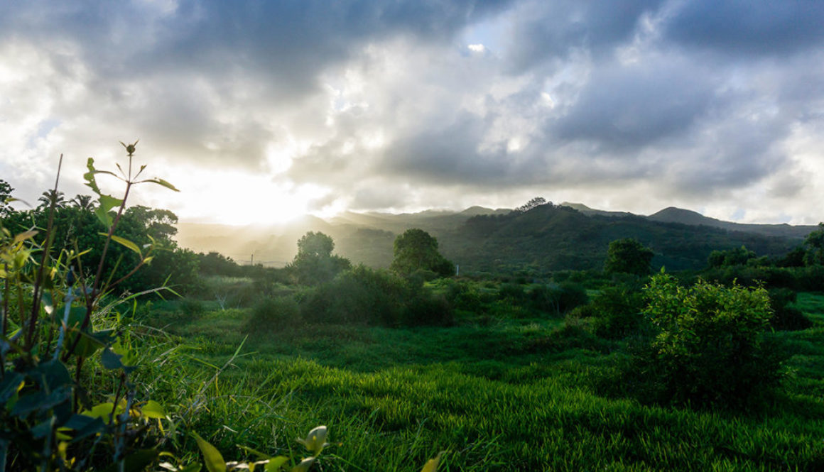 Sunset, Hana