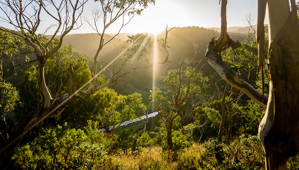 Sunset, Lorne