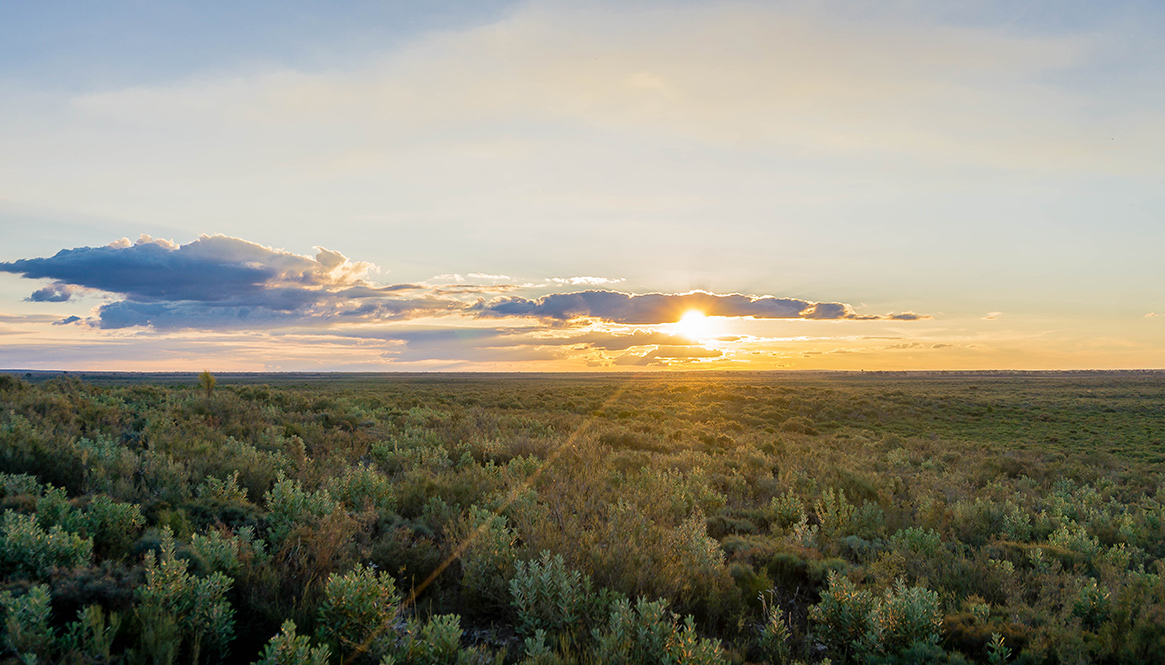 Sun-set, Little Desert