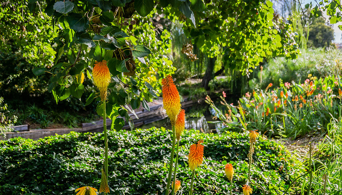 Botanical Garden, Adelaide