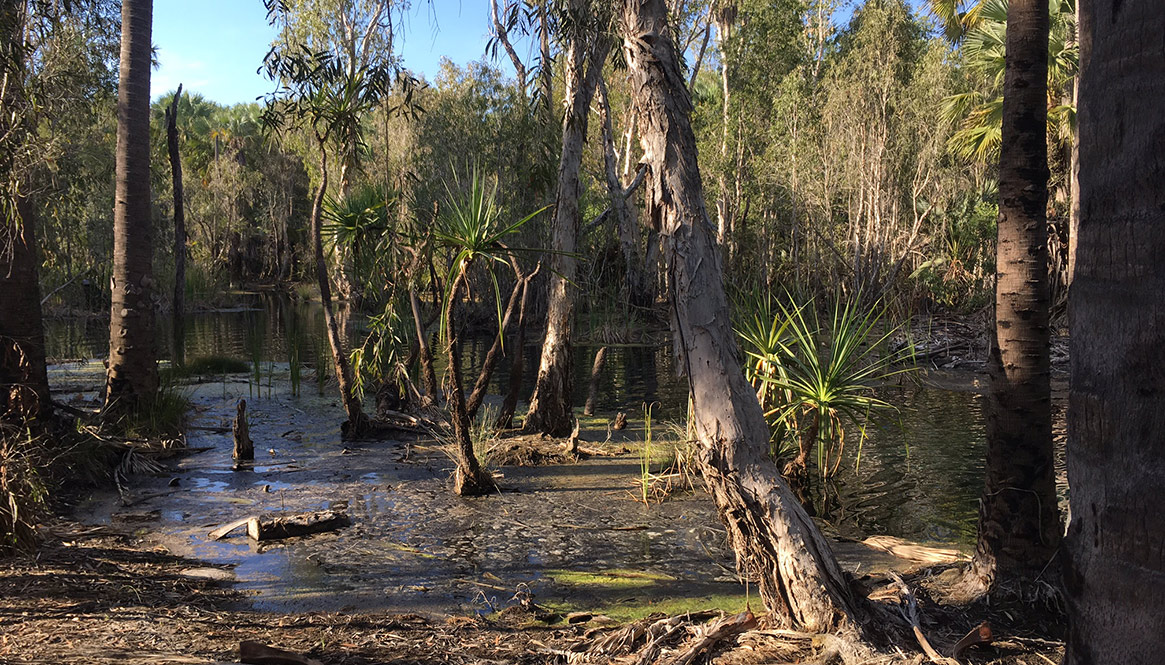 Bitter Springs, Australia