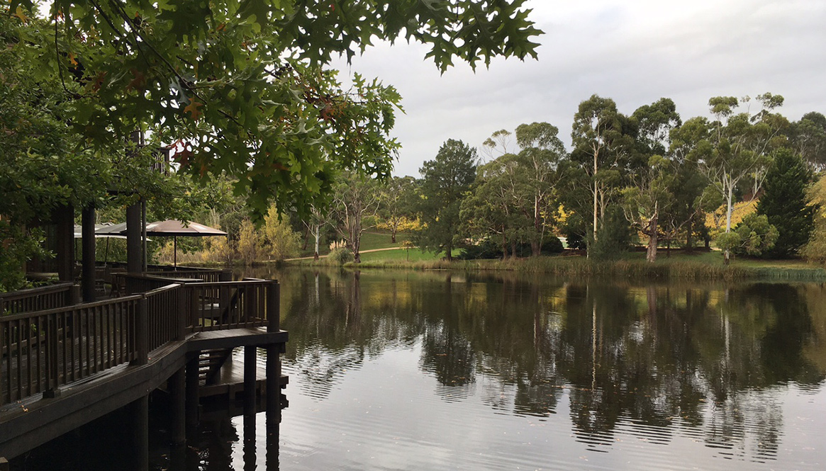 Wine Yard, McLaren Vale