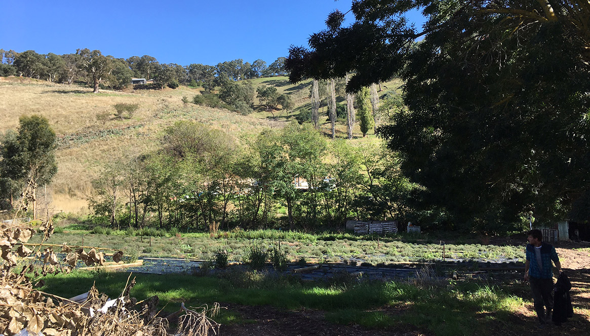 Herb Farm, Adelaide Hills