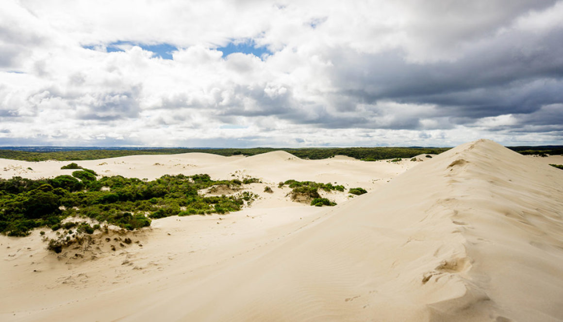 Little Sahara, Kangaroo Island