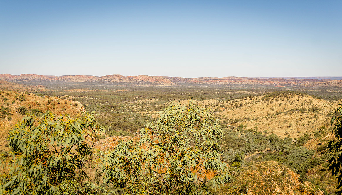 Outlook, MacDonnell