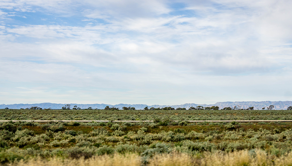 Plains, South Australia