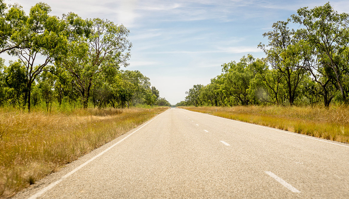 Forest, Northern Outback