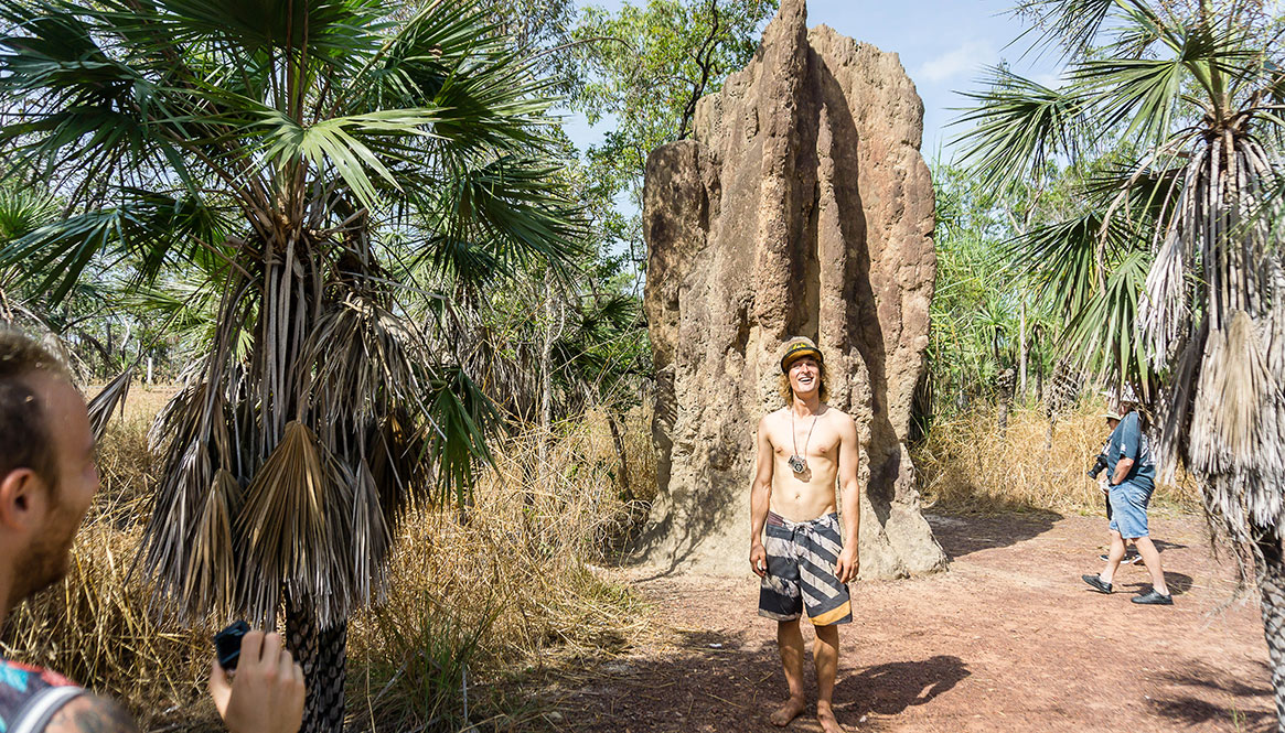 Termite Mound, Australia