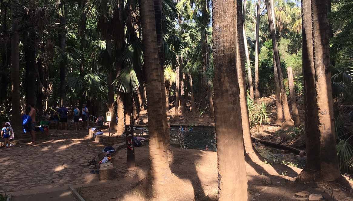 Thermal Pools, Mataranka