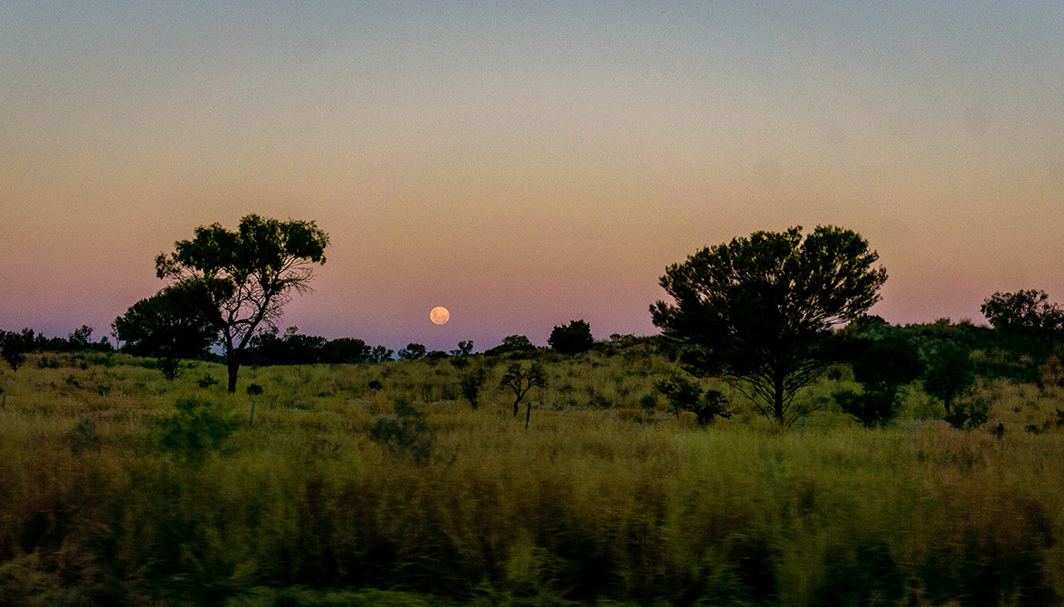 Moon Rise, Alice Springs