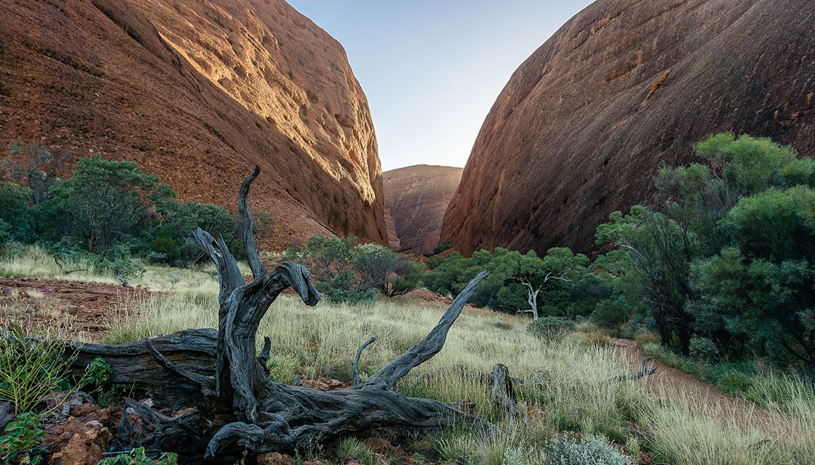 Valley of the Winds, Kata Tjuta