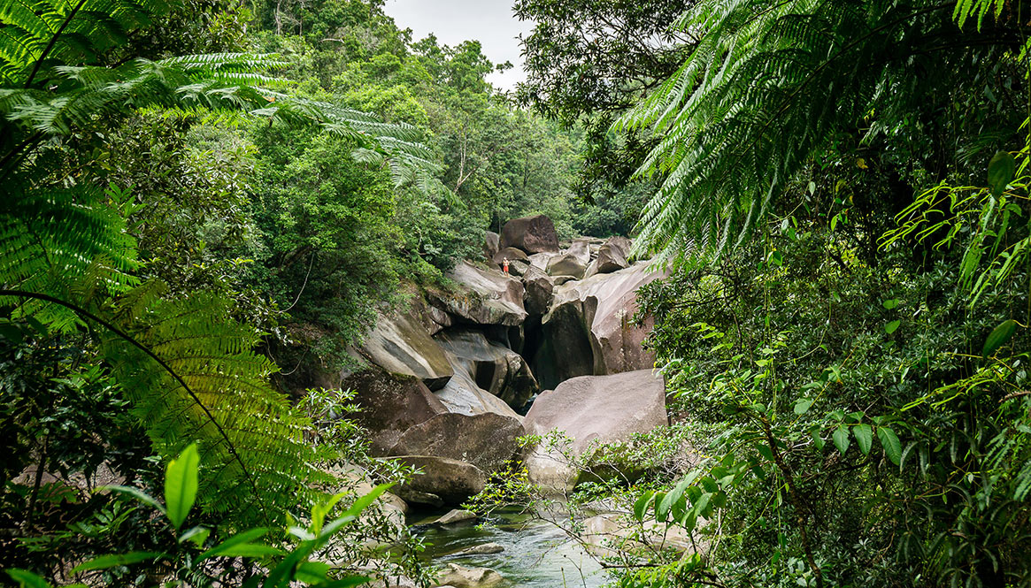 The Bolders, Queensland