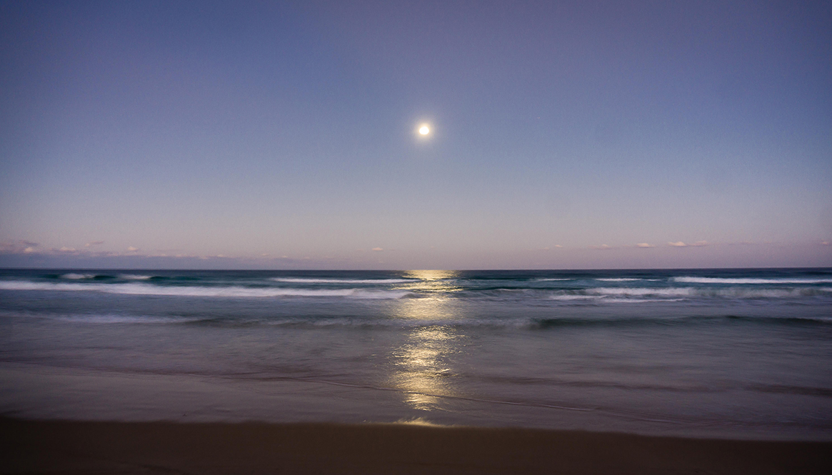 Moon, Fraser Island.