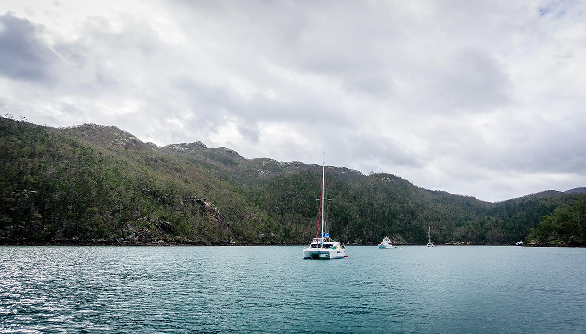 Snorkeling, Whitesundays