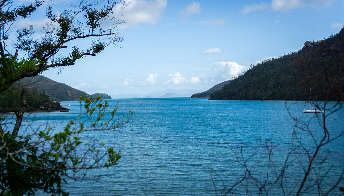 Bush Walk, Whitsunday's