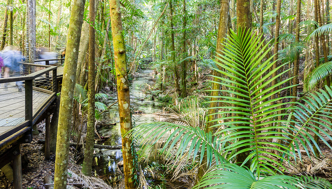 Wanggoolba Creek, Fraser