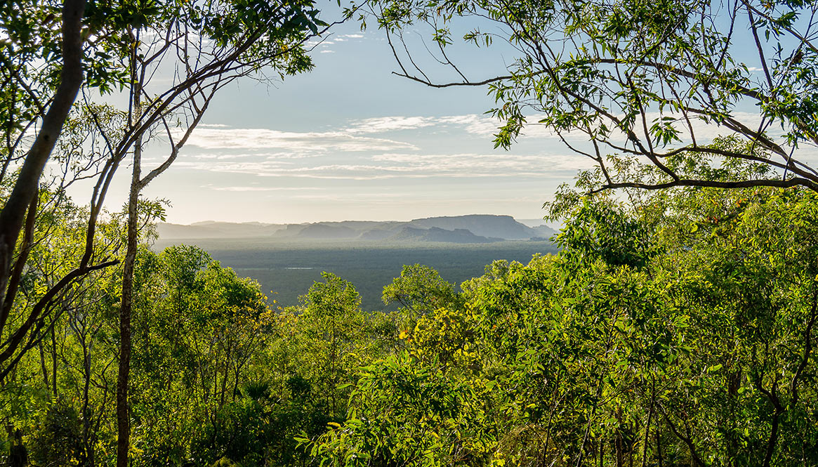 Sunrise, Kakadu