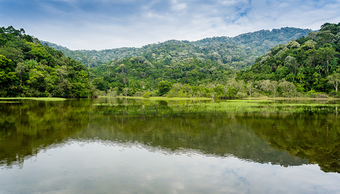 Lake, Taman Negarra