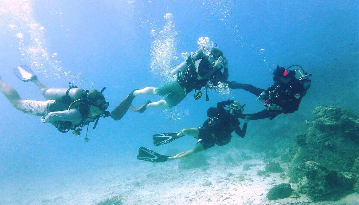 Diving, Koh Tao