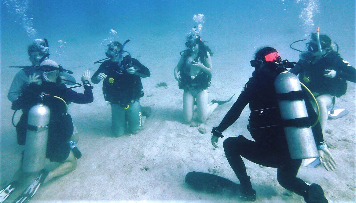 Diving, Koh Tao