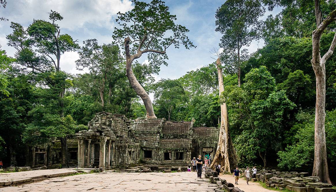 Temple, Angkor Wat