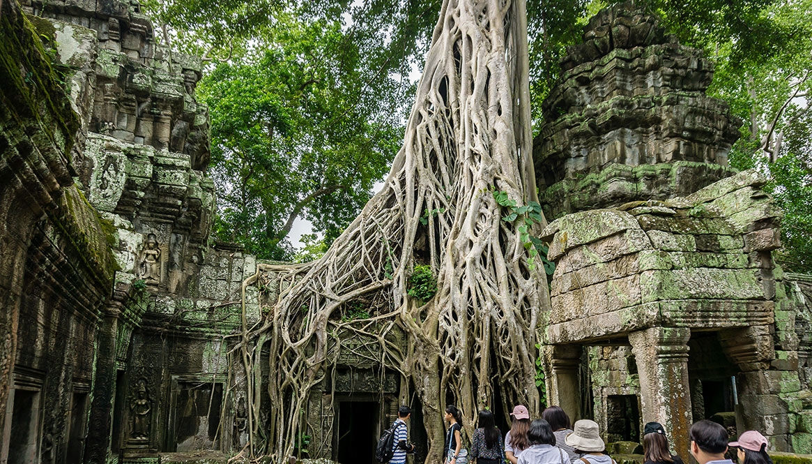 Temple, Angkor Wat