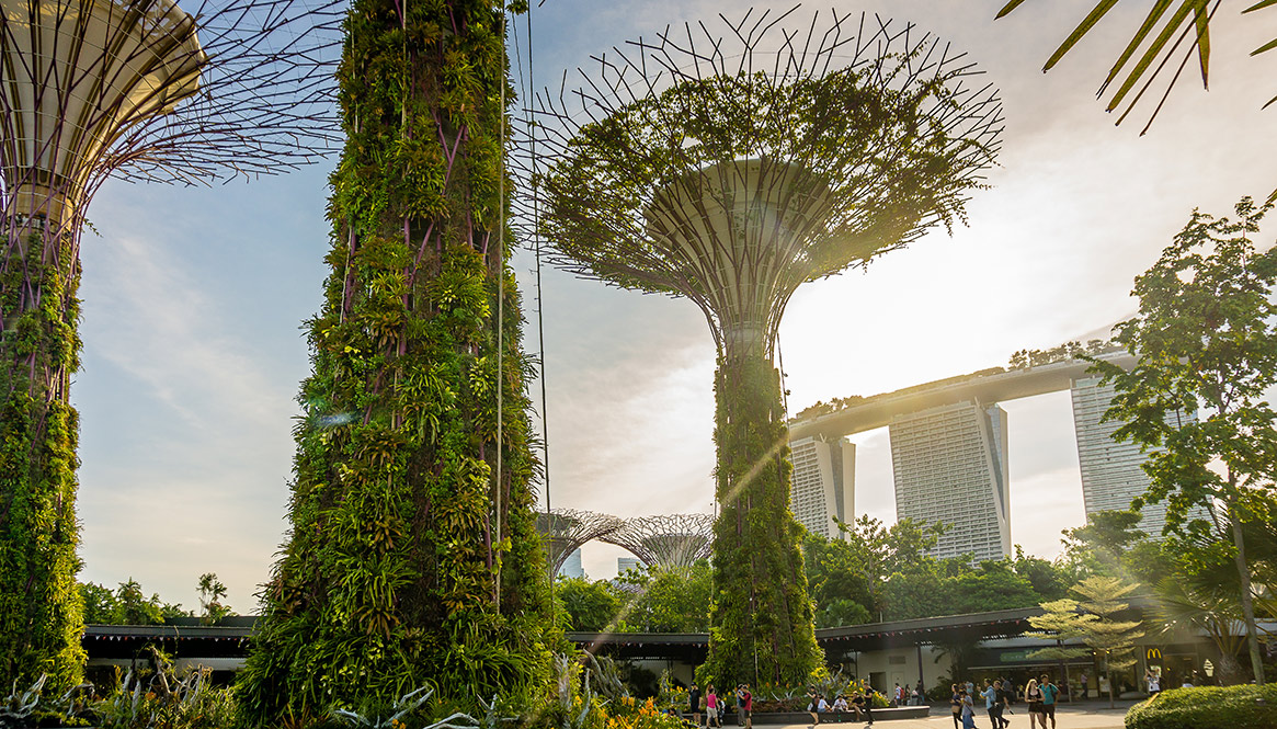 Garden by the Bay, Singapore