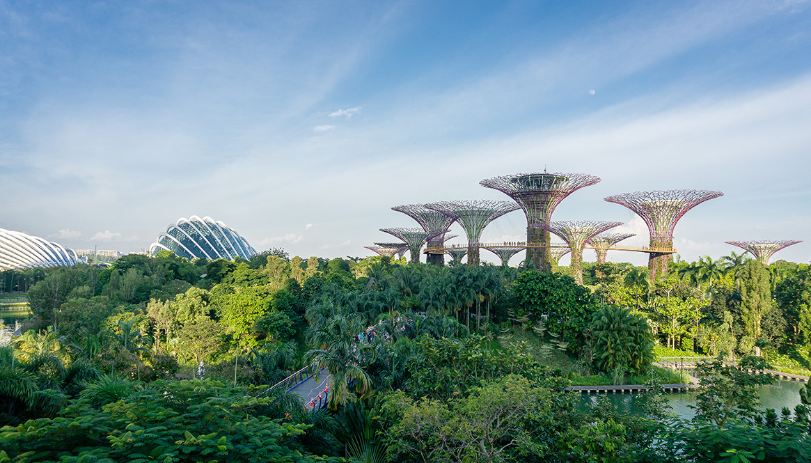 Garden by the bay, Singapore