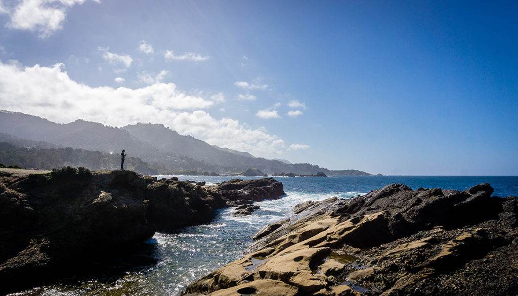 Point Lobos, California